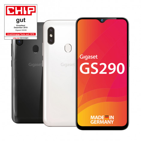 smartphone-display-gs290_duo_2020_low-res_1